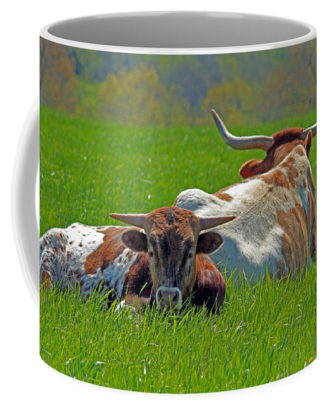 Longhorn Coffee Mug featuring the photograph I'm Just a Baby by Lynn Sprowl