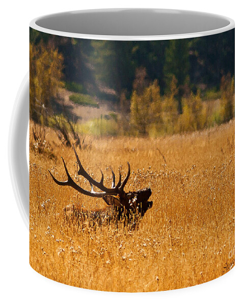 Landscape Coffee Mug featuring the photograph I'm Over Here by Steven Reed