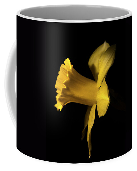 Daffodils Coffee Mug featuring the photograph I'm ready for my closeup by Joe Schofield