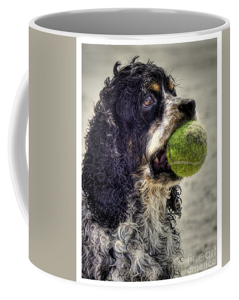 Cocker Spaniel Coffee Mug featuring the photograph I'm Ready to Play by Benanne Stiens