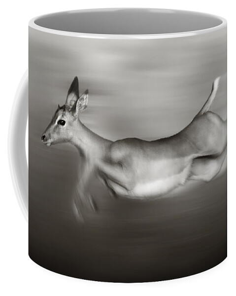 Outdoor Coffee Mug featuring the photograph Impala running by Johan Swanepoel