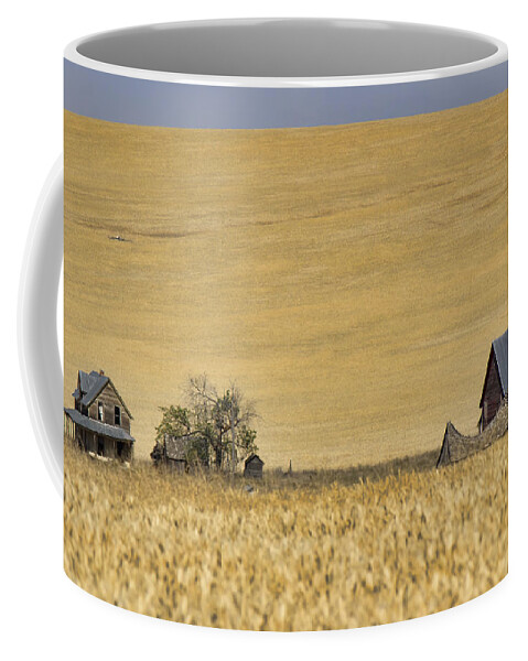 Homestead Coffee Mug featuring the photograph In a Sea of Wheat by Cathy Anderson
