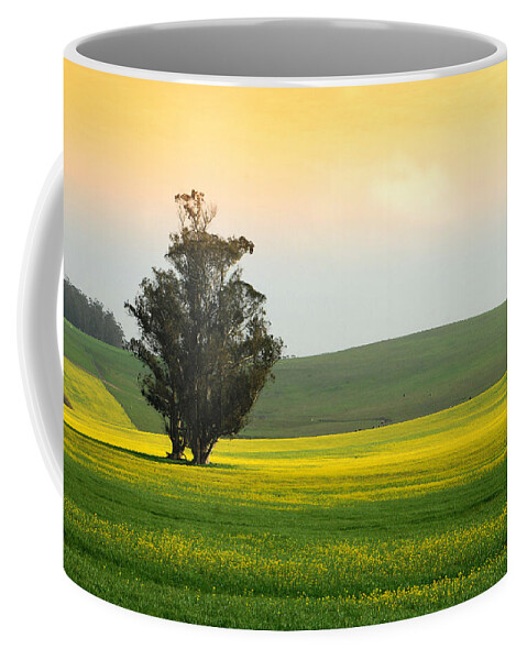 Mustard Flowers Coffee Mug featuring the photograph In Fields Of Gold by Donna Blackhall