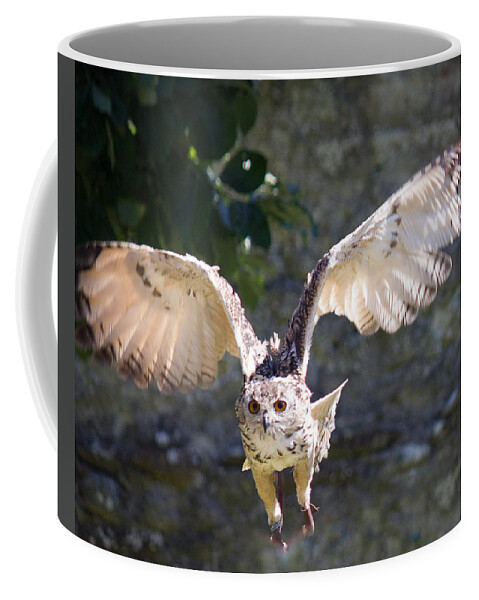 Owl Coffee Mug featuring the photograph In Flight by Sheila Wedegis