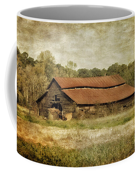 Barn Coffee Mug featuring the photograph In The Country by Kim Hojnacki