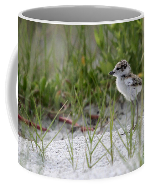 Wilson's Plover Coffee Mug featuring the photograph In the Grass - Wilson's Plover Chick by Meg Rousher