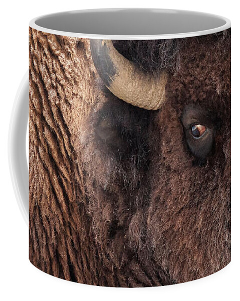 Olena Art Coffee Mug featuring the photograph In the Presence of Bison - 2 by OLena Art by Lena Owens - Vibrant DESIGN