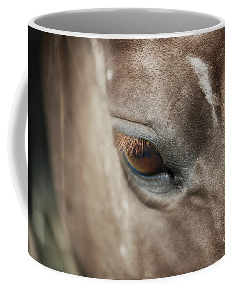 Horses Coffee Mug featuring the photograph In Thought by Peggy Franz