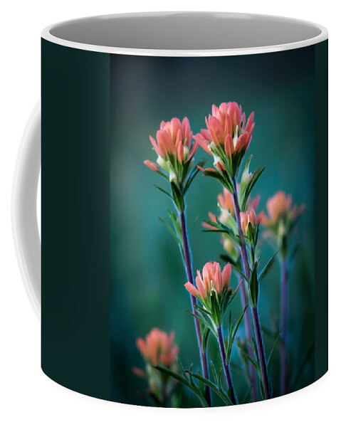 Indian Coffee Mug featuring the photograph Indian Paintbrush at Dawn by James Barber