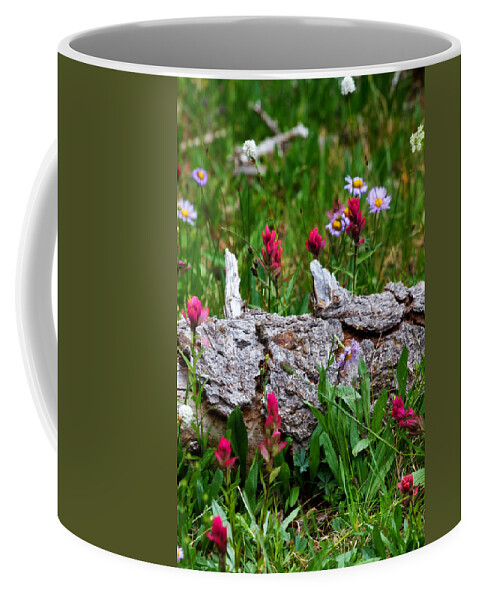 Landscapes Coffee Mug featuring the photograph Indian Paintbrush by Ronda Kimbrow