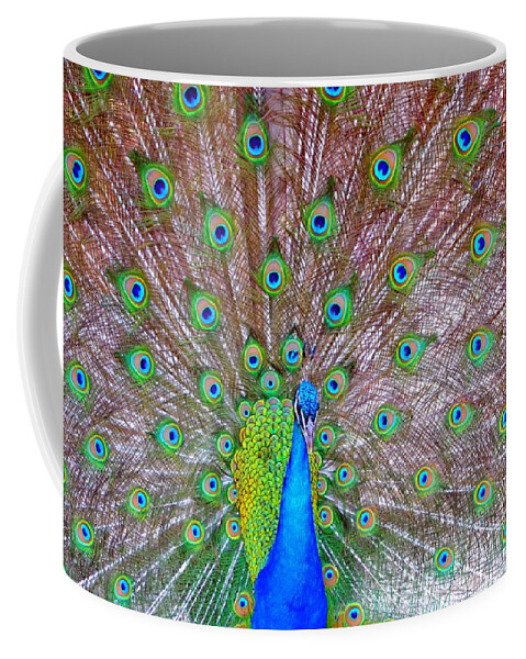 Peacock Coffee Mug featuring the photograph Indian Peacock by Deena Stoddard
