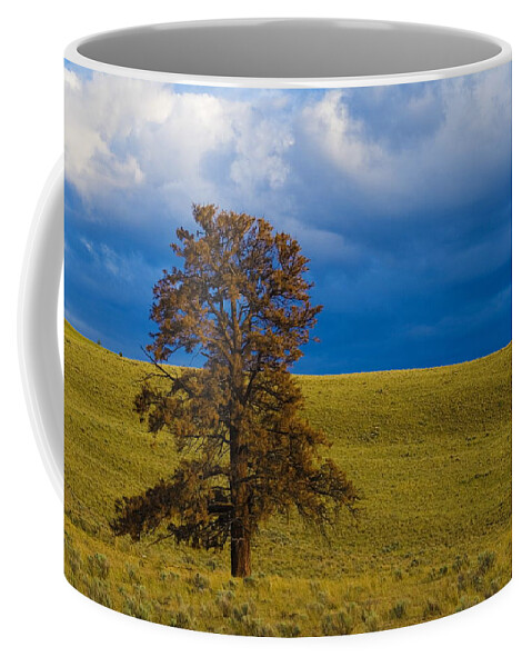 Individuality Coffee Mug featuring the photograph Individuality 2 by Monte Arnold