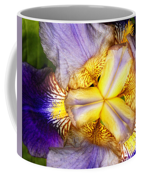 Iris Coffee Mug featuring the photograph Inner View by Claudia Kuhn