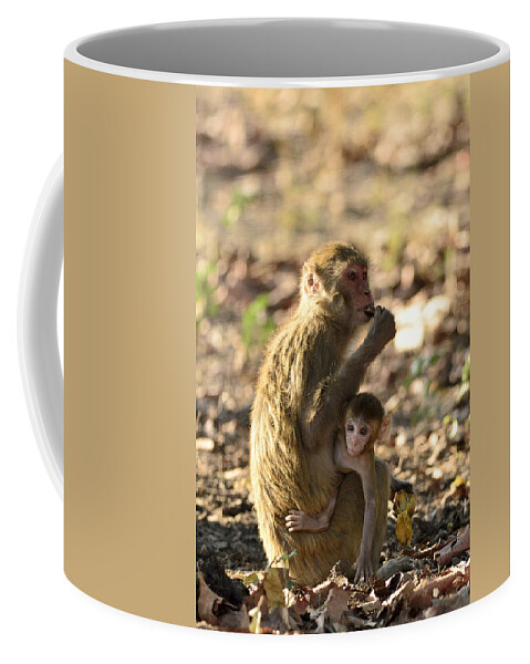 Monkey Coffee Mug featuring the photograph Inquisitive by Fotosas Photography