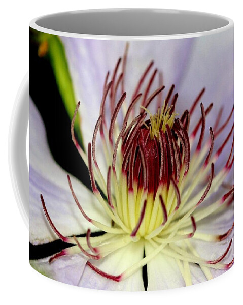 Flower Coffee Mug featuring the photograph Inside a Clematis by Karen Silvestri