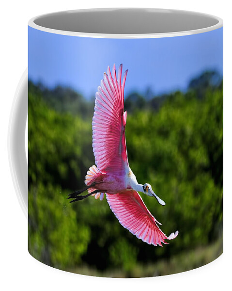 Dodsworth Coffee Mug featuring the photograph Into the morning light by Bill Dodsworth