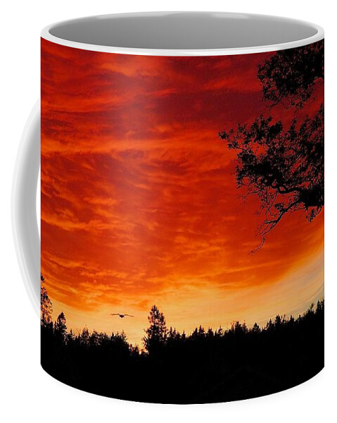 Sunset Coffee Mug featuring the photograph Into the Sunset by Stuart Litoff