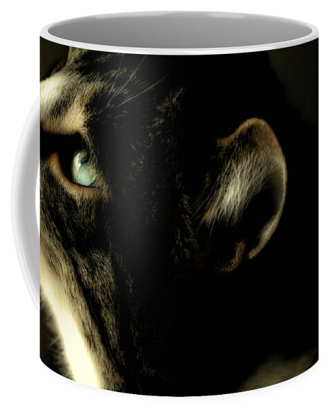 Cat Coffee Mug featuring the photograph Intrigued by Shari Nees