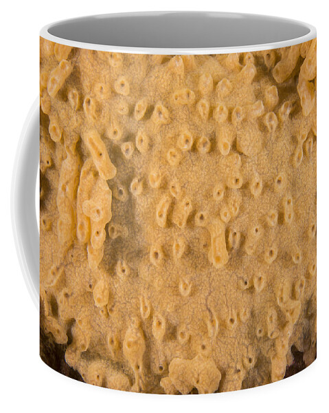 Tunicate Coffee Mug featuring the photograph Invasive Tunicate by Andrew J. Martinez