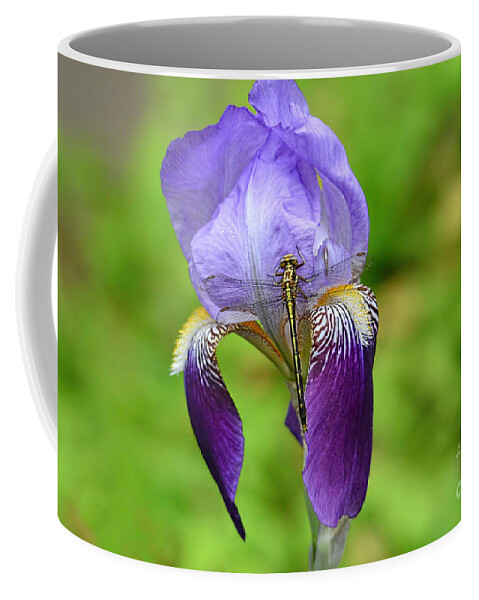 Iris Germanica Coffee Mug featuring the photograph Iris and the Dragonfly 3 by Jai Johnson