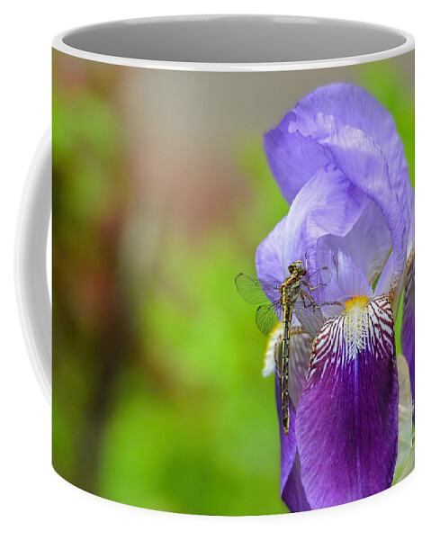 Iris Germanica Coffee Mug featuring the photograph Iris and the Dragonfly 5 by Jai Johnson