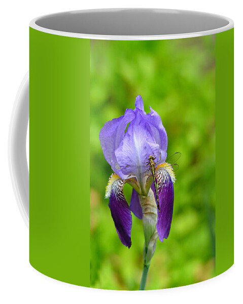 Iris Germanica Coffee Mug featuring the photograph Iris and the Dragonfly 7 by Jai Johnson