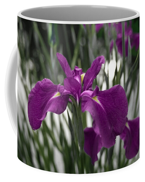 35mm Coffee Mug featuring the photograph Iris on Pond's Edge by Penny Lisowski