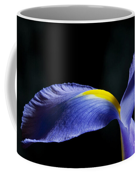 Iris Coffee Mug featuring the photograph Iris Petal by Patty Colabuono