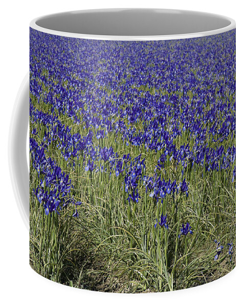 Irises Forever Coffee Mug featuring the photograph Irises Forever by Victoria Harrington