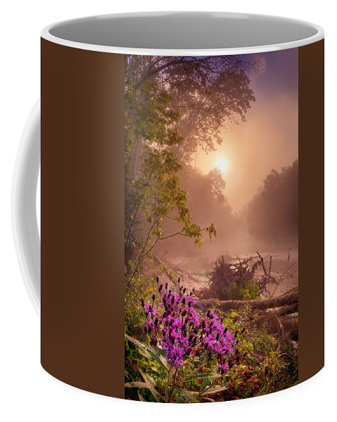 2013 Coffee Mug featuring the photograph Ironweed in Mist by Robert Charity