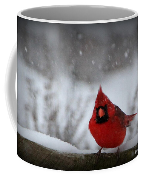 Cardinal Coffee Mug featuring the photograph Is it Spring Yet by Rabiah Seminole