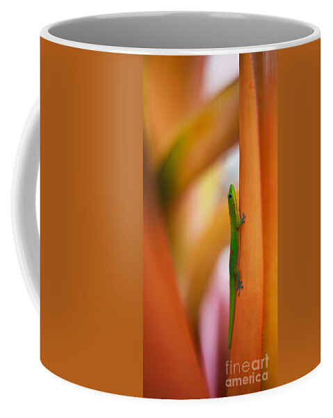 Gecko Coffee Mug featuring the photograph Island Friend by Mike Reid
