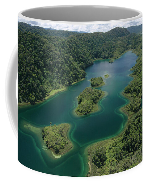 00201959 Coffee Mug featuring the photograph Islands Lake Kutubu PNG by Gerry Ellis