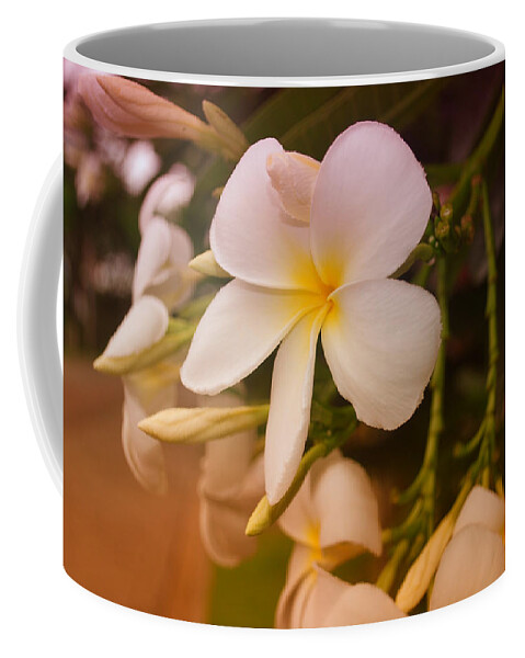 Frangipani Coffee Mug featuring the photograph Isle de Java by Miguel Winterpacht
