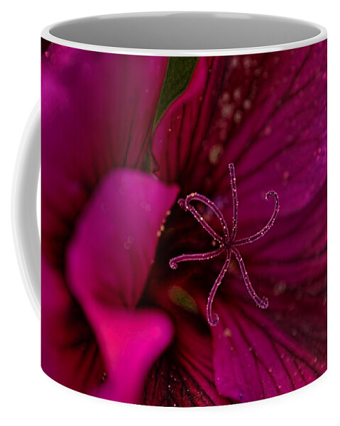 Geraniums Coffee Mug featuring the photograph It's Party Time by Peggy Collins