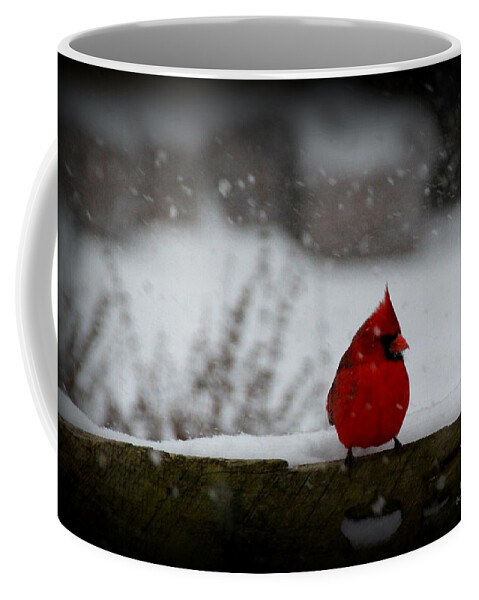 Cardinal Coffee Mug featuring the photograph It's Snowing by Rabiah Seminole