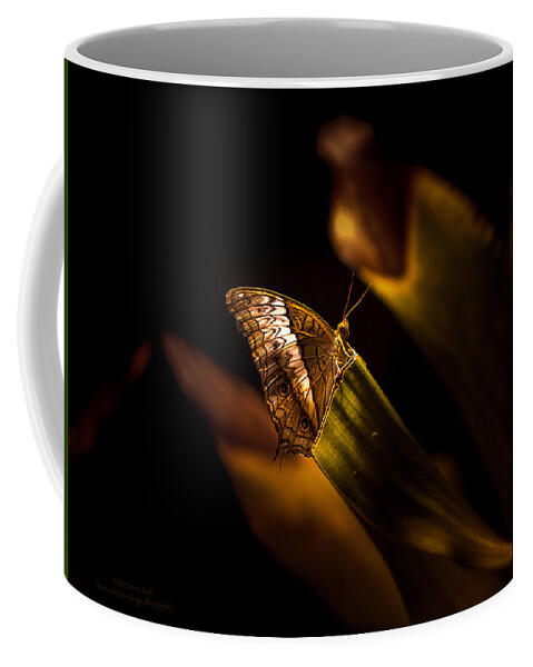 `nature Coffee Mug featuring the photograph Its the simple Things By Denise Dube by Denise Dube