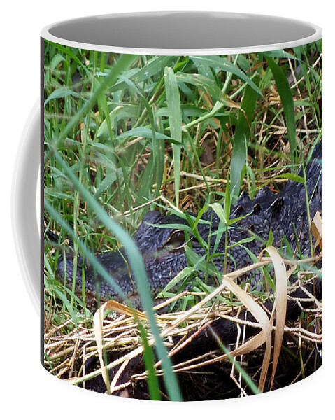 Alligator Coffee Mug featuring the photograph I've Got My Eye On You by Christopher Mercer