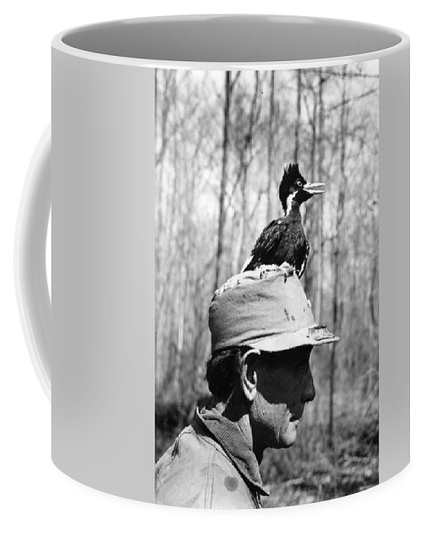 Bird Coffee Mug featuring the photograph Ivory-billed Woodpecker Nestling by James T. Tanner