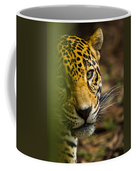 Jaguar Coffee Mug featuring the photograph Jaguar by Raul Rodriguez