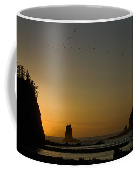 James Island Coffee Mug featuring the photograph James Island Sunset and Birds by Greg Reed