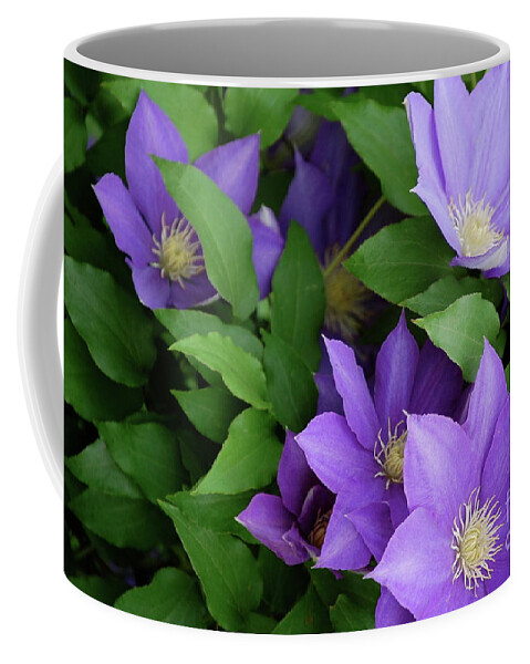First Star Art Coffee Mug featuring the photograph Jammer Clematis 002 by First Star Art