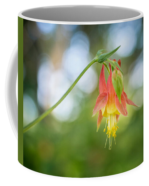 Wildflower Coffee Mug featuring the photograph Japanese Lantern by Bill Pevlor
