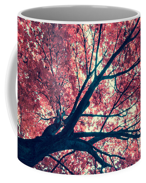 Autumn Coffee Mug featuring the photograph Japanese Maple - Vintage by Hannes Cmarits