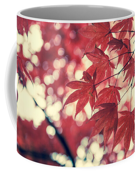 Autumn Coffee Mug featuring the photograph Japanese Maple Leaves - Vintage by Hannes Cmarits