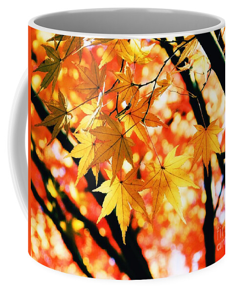 Japanese Coffee Mug featuring the photograph Japanese Maple Leaves by Sharon Woerner