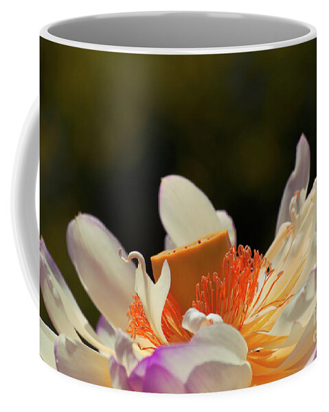 Lotus Coffee Mug featuring the photograph Japenese Jewel by Aimelle Ml