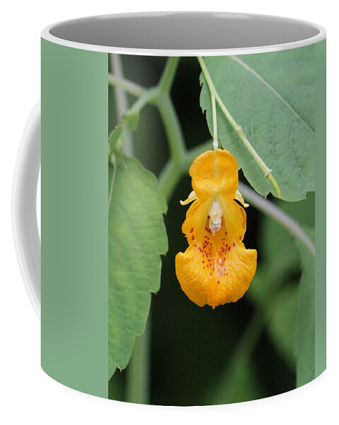 Jewel Weed Coffee Mug featuring the photograph Jewel Weed blossom by Doris Potter
