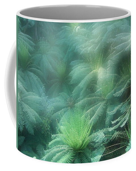 Tree Ferns Coffee Mug featuring the photograph Jurassic Gully by Evelyn Tambour