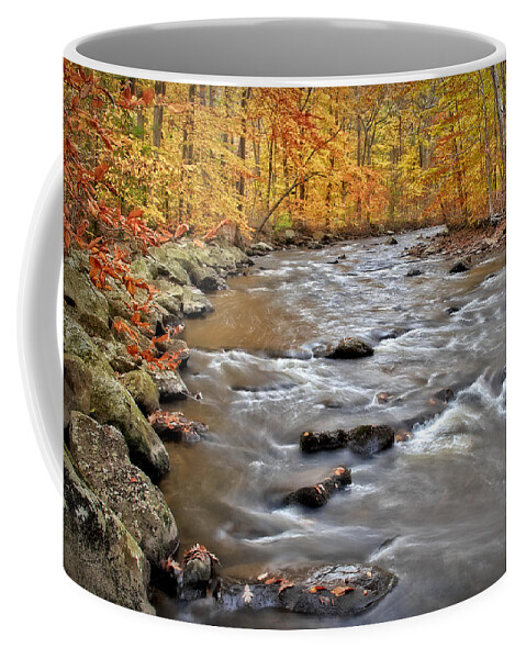 Brooks Coffee Mug featuring the photograph Just Going With The Flow by Susan Candelario